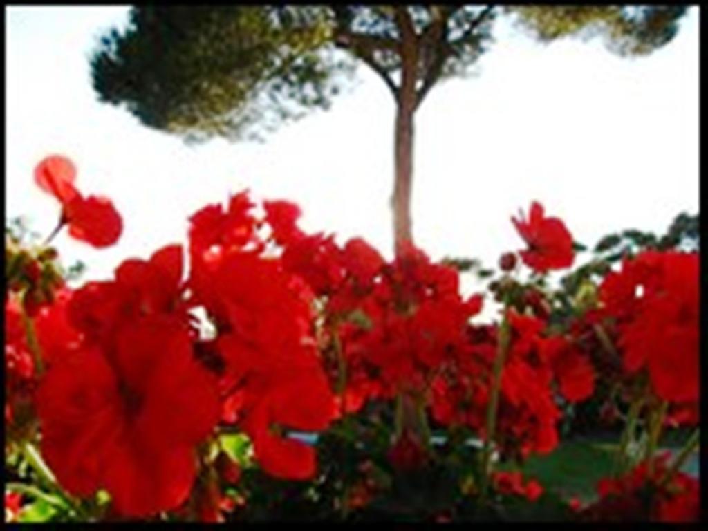 Bed and Breakfast La Tangana Rognes Exterior foto